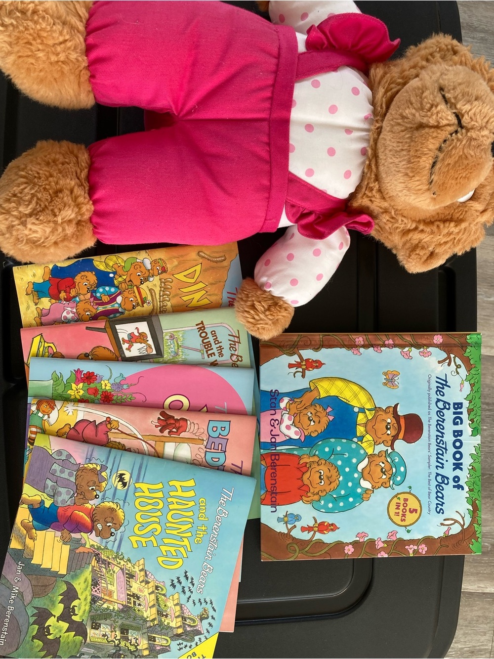 Children's Stuffed Sister Bear in Pink Outfit with Storybook Lot